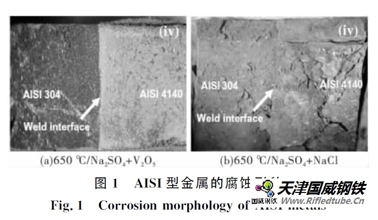 AISI型金屬的腐蝕形貌